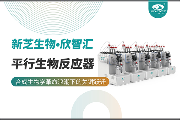 培養(yǎng)菌株和評(píng)估工藝參數(shù)影響太難太慢？平行生物反應(yīng)器提供關(guān)鍵解決方案！