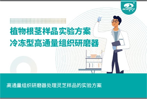 冷凍型高通量組織研磨器處理植物根莖的實(shí)驗(yàn)方案